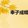奉子成婚听书（有声小说奉子成婚）