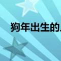 狗年出生的人2022年运势及运程（狗年）