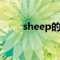 sheep的音标符号（sheep的音标）