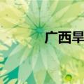 广西旱灾是哪一年（广西旱灾）
