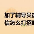 加了辅导员微信怎么打招呼（第一次加老师微信怎么打招呼）