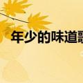 年少的味道歌曲歌词（年轻就要对味歌词）