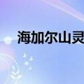 海加尔山灵魂兽老虎（海加尔山灵魂兽）