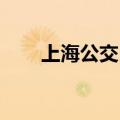 上海公交 猫（上海熊猫公交车上路）