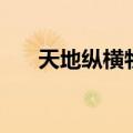 天地纵横物流怎么样（天地纵横物流）
