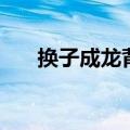 换子成龙背景音乐（换子成龙片尾曲）