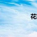 花瓣雨 歌词（花瓣雨）