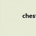 chester charles是什么品牌