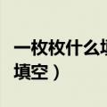 一枚枚什么填空词语什么的衣裳（一枚枚什么填空）