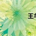 王羊年轻时照片（王羊）