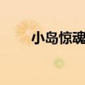 小岛惊魂详细解析（小岛惊魂解析）