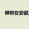 柳岩在安徽卫视待过吗?（安徽卫视柳岩）