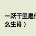 一跃千里是什么生肖动物视频（一跃千里是什么生肖）