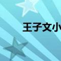 王子文小孩爸爸（王子文孩子父亲）