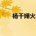 杨千嬅火鸟歌词意思（杨千嬅 火鸟）