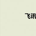 飞讯官方网站（视讯飞机）