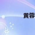 黄蓉杨过小武（黄蓉 小武）