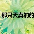 那只天真的豹子概括全文（那只天真的豹子）