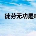 徒劳无功是啥生肖（徒劳无功是什么生肖）