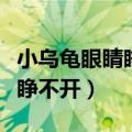 小乌龟眼睛睁不开怎么滴眼药水（小乌龟眼睛睁不开）