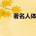 著名人体行为艺术（人体行为艺术）