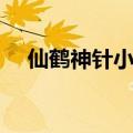 仙鹤神针小说百度百科（仙鹤神针小说）