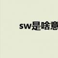 sw是啥意思?（SW控是什么意思的）