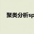 聚类分析spss结果解释（聚类分析spss）