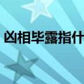 凶相毕露指什么生肖（凶相毕露是什么生肖）