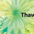 Thawki直接下载（thawki）