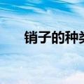 销子的种类和图片价格（销子的种类）