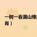 一树一春满山绿打一生肖什么意思（一树一春满山绿打一生肖）