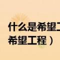 什么是希望工程?你想为他做些什么?（什么是希望工程）