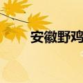 安徽野鸡大学名单（野鸡大学名单）