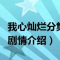 我心灿烂分集剧情介绍演员表（我心灿烂分集剧情介绍）