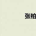 张柏芝样子（神似张柏芝）