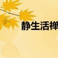 静生活禅意头疗公司简介（静生活）