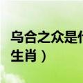 乌合之众是什么生肖最准确（乌合之众是什么生肖）