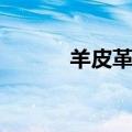 羊皮革和羊皮哪个好（羊皮革）