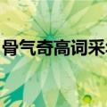 骨气奇高词采华茂是钟嵘在诗品中对谁的评价
