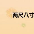 两尺八寸五等于多少厘米（两尺八）