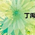 丁禹兮背影（丁禹兮背头）
