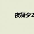 夜凝夕2飞烟书籍（夜凝夕2飞烟）