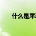 什么是犀利哥?（犀利哥是什么意思）