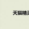  天猫精灵进行校园网认证怎么设置