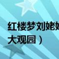 红楼梦刘姥姥进大观园赏析（红楼梦刘姥姥进大观园）