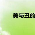 美与丑的世界下载（美与丑的世界）