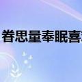 眷思量奉眠喜欢谁（眷思量 奉眠与谁在一起）
