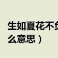 生如夏花不负昭华是什么意思（不负昭华是什么意思）