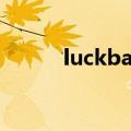 luckbaby org cn（luckbaby）